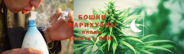 прущие грибы Бугульма
