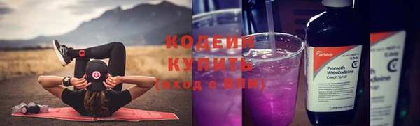 соль ск Богородицк