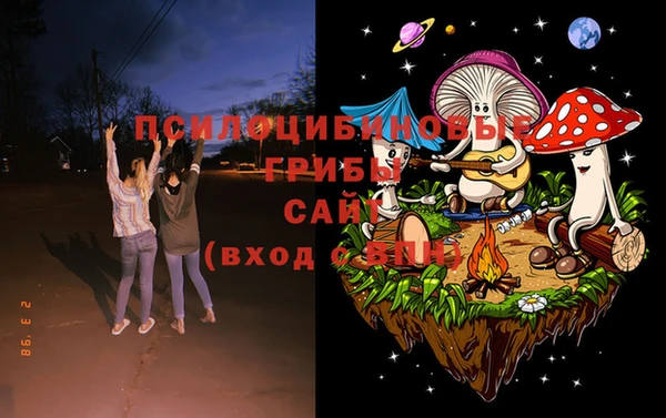 соль ск Богородицк
