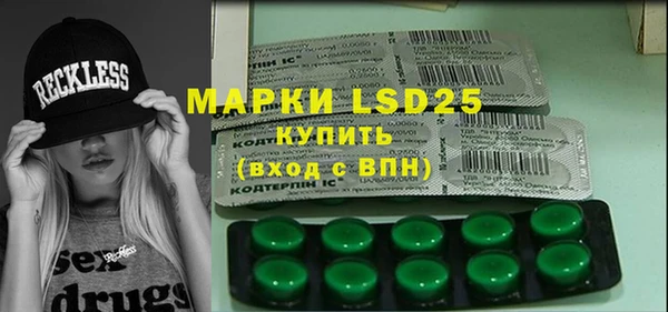 прущие грибы Бугульма