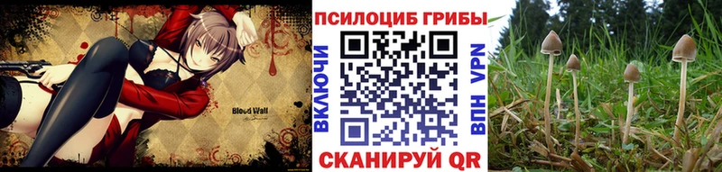 Псилоцибиновые грибы ЛСД  Верхняя Пышма 